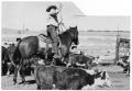 Photograph: Monte Foreman Roping Cattle