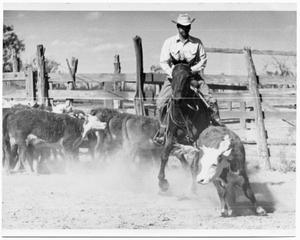 Primary view of object titled 'Monte Foreman Herding Cattle'.