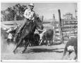 Photograph: Monte Foreman Herding Cattle