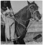 Photograph: Monte Foreman on Dark Horse