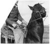 Photograph: Monte Foreman on Dark Horse
