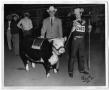 Photograph: Champion Hereford Female, Junior Division 1955 HFSS