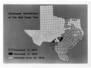 Primary view of object titled 'A Map of Gulf Coast Tick Distribution'.