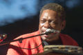 Photograph: [Lucky Peterson performs at Denton Blues Festival]
