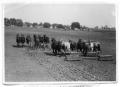 Photograph: [Two men operating farm equipemnt drawn by mules and horses]