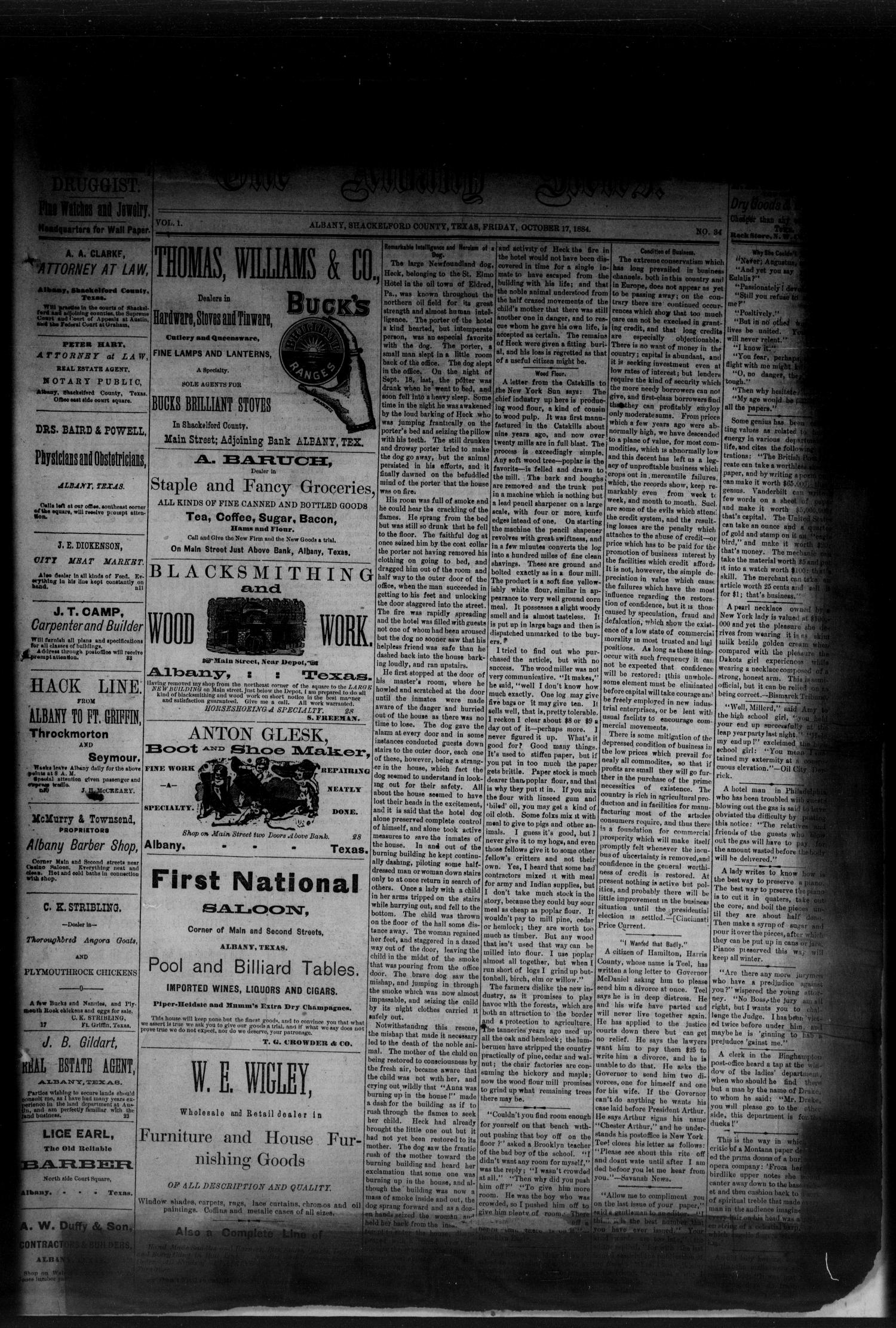 The Albany News. (Albany, Tex.), Vol. 1, No. 34, Ed. 1 Friday, October 17, 1884
                                                
                                                    [Sequence #]: 1 of 6
                                                