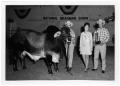 Thumbnail image of item number 1 in: 'Reserve Grand Champion Bull'.