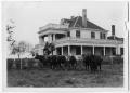 Photograph: Six Steers in front of a Large House