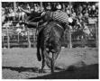 Photograph: Hughie Long Riding a Bull