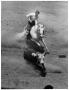 Photograph: Cowboy in Steer Wrestling Event