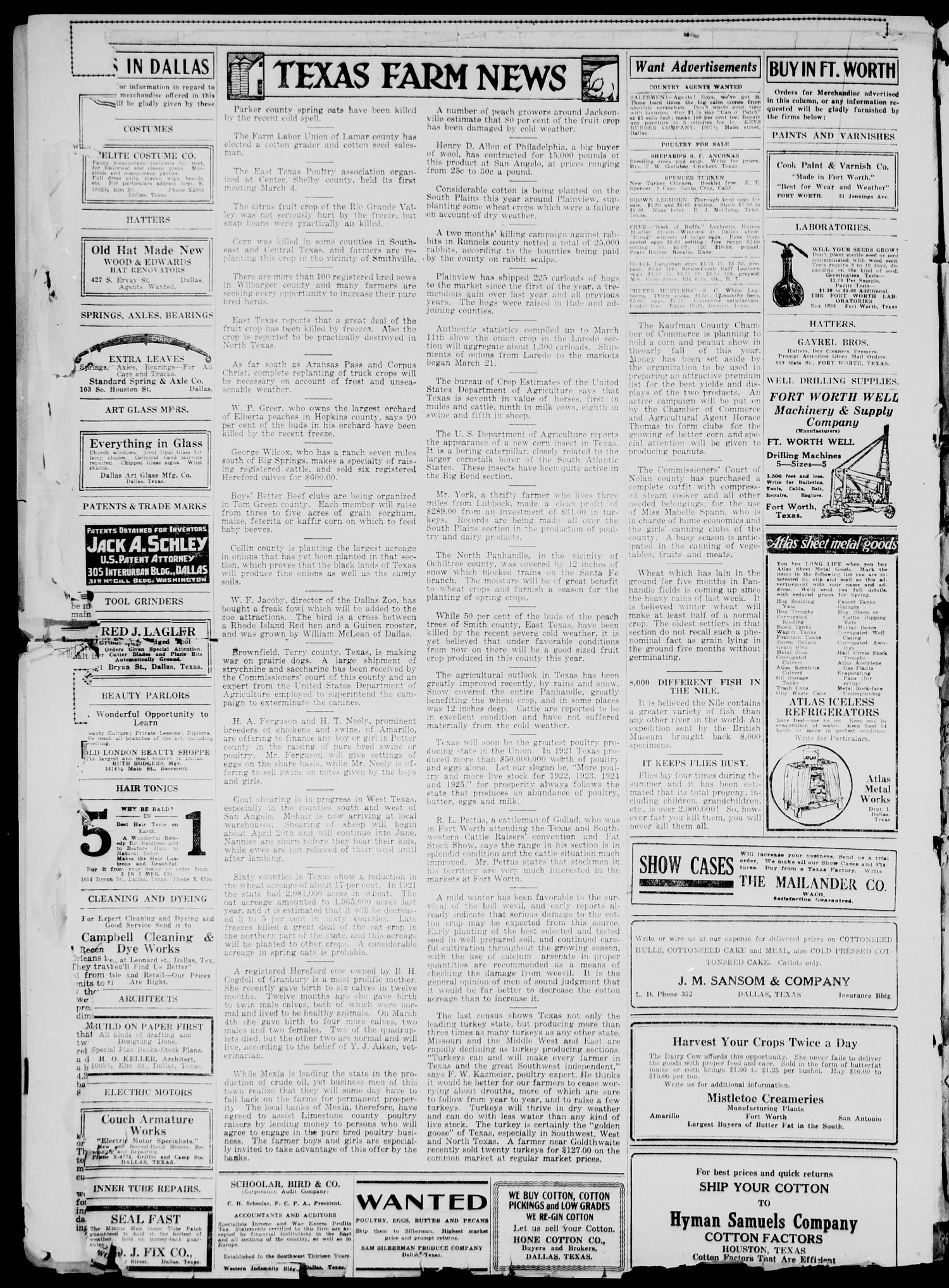 The Tulia Herald (Tulia, Tex), Vol. 13, No. 15, Ed. 1, Friday, April 14, 1922
                                                
                                                    14
                                                