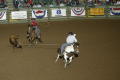 Thumbnail image of item number 1 in: '[Two Cowboys Roping a Calf at Cowtown Coliseum]'.