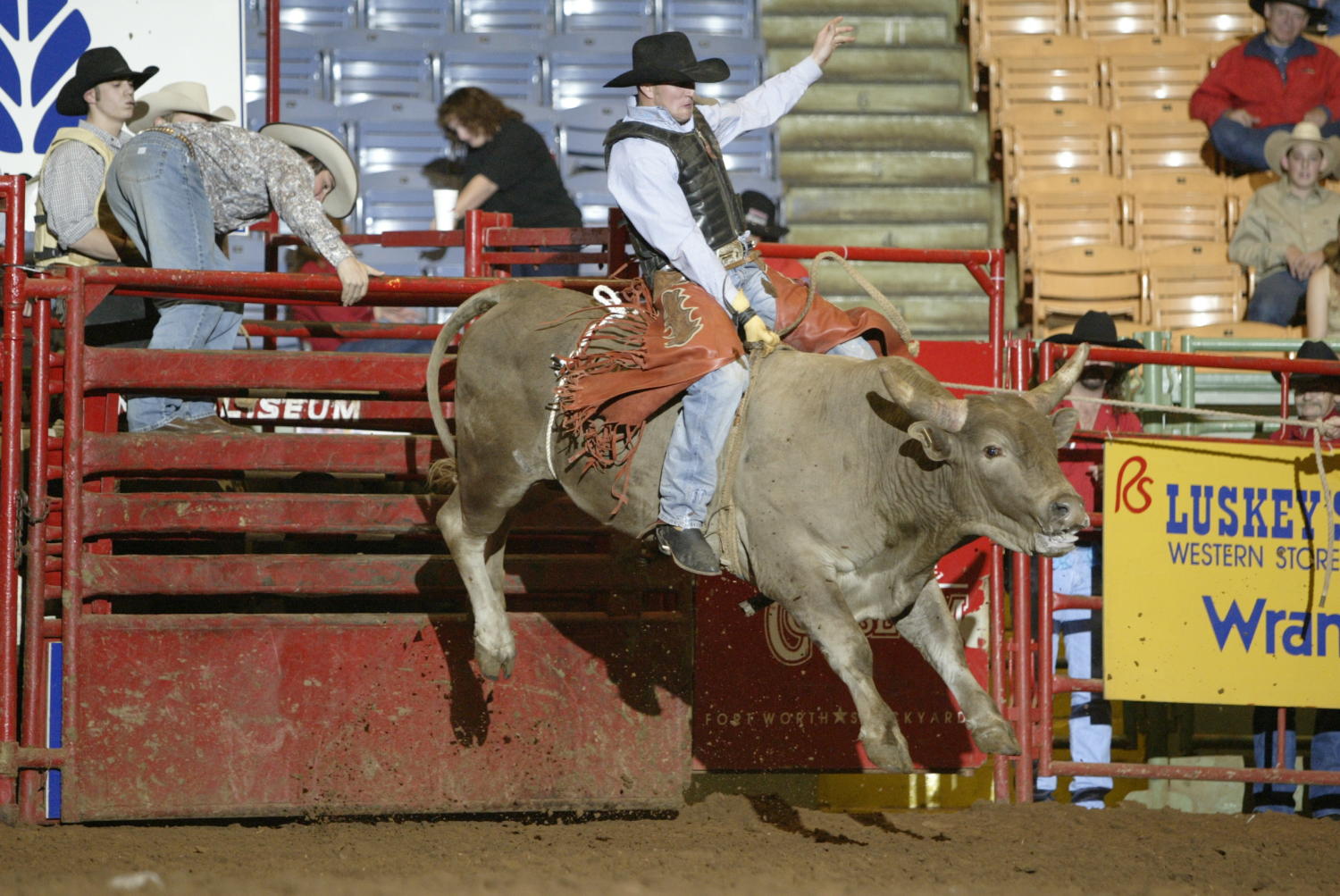 [Bull riding at the Cowtown Coliseum]
                                                
                                                    [Sequence #]: 1 of 1
                                                