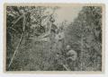 Photograph: [Soldiers in the Woods]