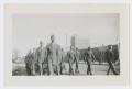 Thumbnail image of item number 1 in: '[African American Soldiers in Parade]'.