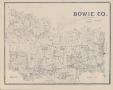 Primary view of Bowie Co.