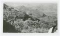 Thumbnail image of item number 1 in: '[Photograph of Pinto Canyon]'.