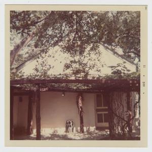 Primary view of object titled '[Struve House Photograph #5]'.