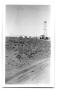 Primary view of Oil Well and Tanks in New Mexico
