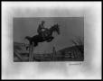 Primary view of Cavalry Rider Jumping Barbwire Fence