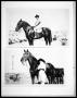 Photograph: 1920s Woman on Horse; Woman and Horse