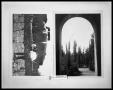 Photograph: Picture of Men in Vineyard; Archway and Trees