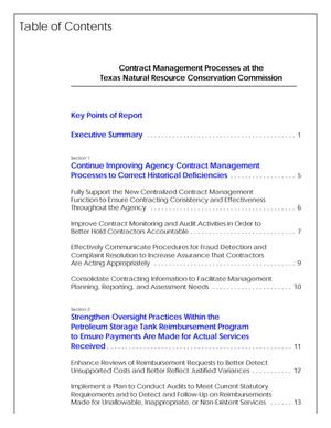 Primary view of object titled 'An Audit Report on Contract Management Processes at the Texas Natural Resource Conservation Commission'.