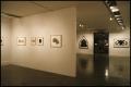 Primary view of Concentrations III: Betsy Muller/Andrea Rosenberg [Exhibition Photographs]