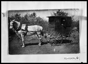 Primary view of object titled 'Horse Drawn Mail Wagon'.