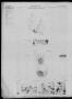 Thumbnail image of item number 4 in: 'Corpus Christi Caller (Corpus Christi, Tex.), Vol. 23, No. 225, Ed. 1 Sunday, October 8, 1922'.