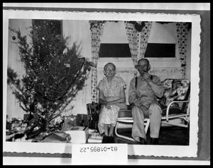Primary view of object titled 'Couple By Christmas Tree #2'.