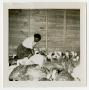 Photograph: [Mrs. Dena Collins with Turkeys]