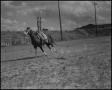 Photograph: [Photograph of Mary Ann Mayfield Trick Riding]