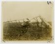 Thumbnail image of item number 1 in: '[Photograph of Crashed Airplane]'.