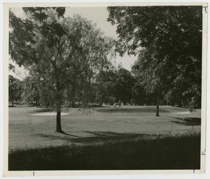 Primary view of object titled '[Players on a Golf Course]'.