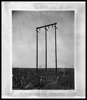 Primary view of object titled 'Power Line'.