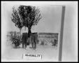 Photograph: Men by Tree