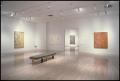 Brice Marden, Work of the 1990s: Paintings, Drawings, and Prints [Photograph DMA_1565-10]