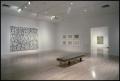 Primary view of Brice Marden, Work of the 1990s: Paintings, Drawings, and Prints [Photograph DMA_1565-05]