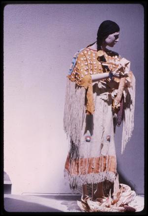 Primary view of object titled 'Indian Art of the Americas [Photograph DMA_0199-15]'.