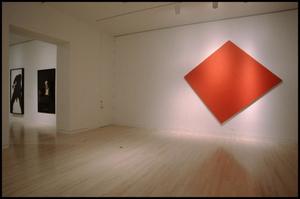 Primary view of object titled 'Dallas Museum of Art Installation: Contemporary Art [Photograph DMA_90015-087]'.