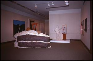 Primary view of object titled 'American Art Since 1945 [Photograph DMA_1260-02]'.
