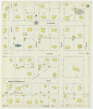 Primary view of object titled 'Coleman 1909 Sheet 3'.