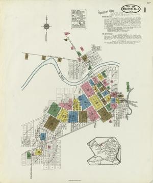 Primary view of object titled 'Wichita Falls 1919 Sheet 1'.