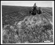 Photograph: Man Plowing Field