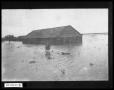 Thumbnail image of item number 1 in: 'Roscoe After Flood'.