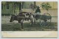 Postcard: [Postcard of Woman Riding Ox-Drawn Cart]