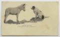 Postcard: [Postcard of a Donkey and a Dog]