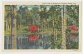 Primary view of [Postcard of Mirror Lake in Bellingrath Gardens]