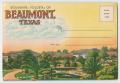 Primary view of [Fold Out Postcard of Beaumont]